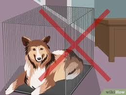 Create positive associations with the crate through the use of treats and games. 3 Ways To Help A Dog With Separation Anxiety Wikihow Pet