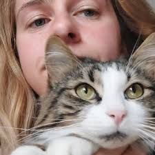 The Push-Up Challenge