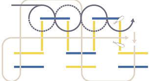 Stangenarbeit beim lehrgang mit thomas weinberg. Stangenarbeit Fur Pferde Mit Kraft Takt Und Balance Cavallo De