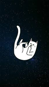 Tumblr Pics For Your Account In 2020 Ripndip Wallpaper Hypebeast Wallpaper Cat Wallpaper