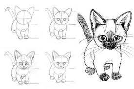 How To Draw Cat And Kittens Offers Step By Step Instructions For Beginning And Advanced Artists Catandki Cat Drawing Tutorial Kitten Drawing Cat Face Drawing