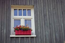 Le feuillage gris argent de cette plante peu connue saccorde joliment avec les tons mauves et ses centaines de petites feuilles. Jardinieres En Copropriete Est Ce Possible