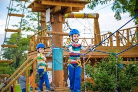 Fun Things To Do In Auckland For Kids In 2020 School Holiday Activities Outdoor Activities For Kids Fun Things To Do