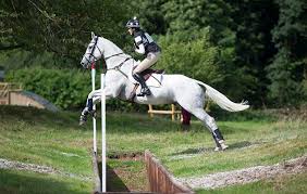 I rode competitively for years (cross country / endurance) and every year stand alongside some of the most fearsome fences in the world of. Don T Have Your Own Jumps 10 Diy Solutions To Your Problem Horse Hound