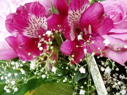 Rsultat de recherche d'images pour 