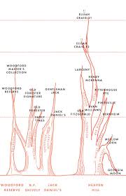 Chart The Family Tree Of Bourbon Whiskey Bourbon Brands