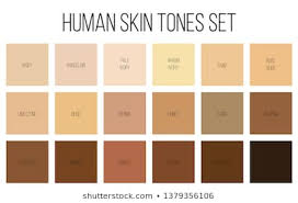 Royalty Free Skin Tone Chart Stock Images Photos Vectors
