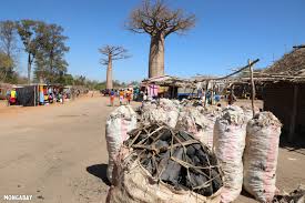 For 25 years, dreamworks animation has considered itself and its characters part of your family. Madagascar Introduces Stoves That Burn Rice Husks Instead Of Forests