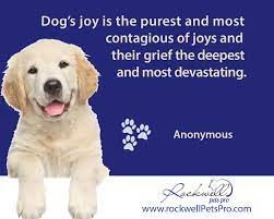 Dog S Joy Is The Purest And Most Contagious Of Joys And Their Grief The Deepest And Most Devastating Www Rockwellpetspro Com Dog Dog Grief Pet Grief Dogs