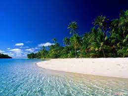Top 5 Beaches Of Kerala Beautiful Beaches Most Beautiful Beaches Places To Travel