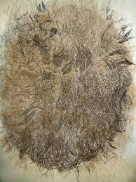 Who is the poet of the singing garden? Rohini Devasher The Singing Garden And Other Fables
