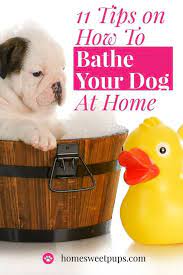 11 Tips On How To Bathe Your Dog At Home Easily Home Sweet Pups Your Dog Dog Grooming Dog Bath