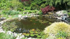 | meaning, pronunciation, translations and examples. Lake Pond Water Garden Supplies Pond Algae Control Pond Dye The Pond Shop