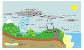 Begitu pula, evaporasi berbeda dengan distilasi, karena disini uapnya biasanya komponen tunggal, dan walaupun uap itu merupakan campuran, dalam proses evaporasi ini tidak ada usaha untuk. Daur Air Pengertian 7 Tahapan Proses Gambar Ilustrasi