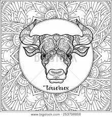 Primitive taurus zodiac coloring page. Taurus Bull Ox Vector Photo Free Trial Bigstock