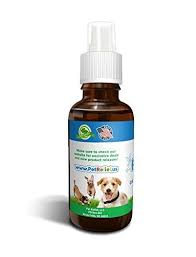 Pin On Dog Supplies