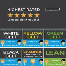 Lean Six Sigma Training Certification Goleansixsigma Com Video Video Lean Six Sigma Business Management Educational Leadership