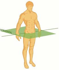 Finding time to extend your spine every day, even by simply laying over a yoga bolster, can leave you feeling as if you have more room in between your vertebrae. How And Why To Use All 3 Planes Of Motion To Improve Your Mobility Breaking Muscle