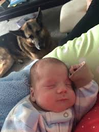 boxers recovery from illness