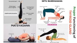 Everything You Need To Know Yoga For Healthy Hormones Endocrine System Gland Healthy Hormones