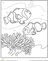 Swimming Fish Worksheet Education Com Turtle Coloring Pages Fish Coloring Page Coloring Pages