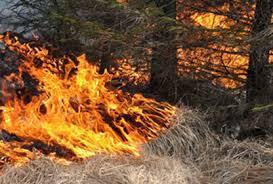 Att göra upp eld under rådande eldningsförbud kan bli en dyr historia. Https Xn Vrnamo Bua Nu Tag Eldningsforbud