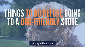 Major Stores That Allow Dogs In The Us Extensive List