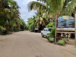We did not find results for: How To Visit Sian Ka An Biosphere Reserve Boat Tours Riviera Maya Visiting