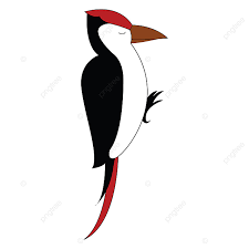 Clipart بسبب ال التعريف القراع عصفور الطيور ب انغلقت عيون أجبر العظم عزل عزل عن قصاصة فنية نقار الخشب الطيور Png والمتجهات للتحميل مجانا