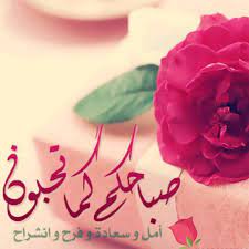 desertrose جعل الله صباحكم كما تحبون سعادة وفرح ويومكم مشرق ومليء بالخير والتفاؤل morning greeting good morning inspirational quotes beautiful morning