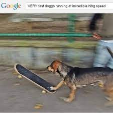 Very Fast Doggo Running At Incredible Hihg Speed Know Your Meme