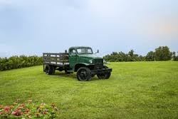 Image result for Vineyard Green 1955 Truck