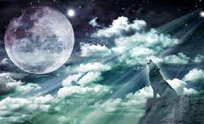 Why Do Some People Think Wolves Howl At The Moon Why Dowhy Do
