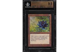 As reported by polygon, a 1993 'black lotus' with a case signed. Mint Black Lotus Magic Card Sold For 166k Usd Hypebeast