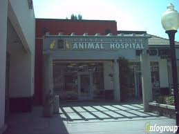 Maybe you would like to learn more about one of these? Golden Lantern Animal Hospital 32545 Golden Lantern St Ste D Dana Point Ca 92629 Yp Com