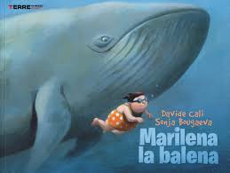 It provides infrastructure and tools for fleet owners so they can focus on developing their applications and growing their fleets with as little friction as possible. Marilena La Balena Bougaeva Sonja Cali Davide 9788861893627 Amazon Com Books