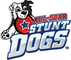 Frisbee Dog Half Time Entertainment Shows Frisbee Dog Halftime Show Sporting Event Entertainment Animal Act Stunt Dog Show For Halftime Entertainment Trick Dog Show Basketball Half Time Show Nfl Half Time Show Minor League Baseball