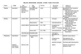 Endocrine Organs