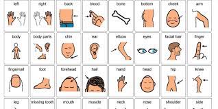 Play a word game to learn and practise parts of the body vocabulary. Pin On Autism