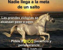 Todo Llega A Su Tiempo Y En Su Debido Momento Ni Antes Ni Despues En El Momento Correcto Anabelycarlos Frases De Caballos Frases De Sabiduria Metas