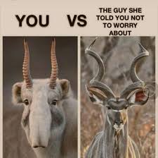 Well Can T Argue With That Meme Memes Best Funny Pictures Super Funny Pictures Funny Pictures