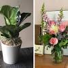 Check out our flowers sent to selection for the very best in unique or custom, handmade pieces from our shops. 1