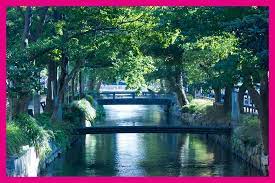 西川緑道公園 nishigawa green road park outdoor park water