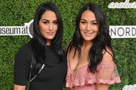 Nikki bella, an american wrestler and actress. Nikki Bella And Brie Bella Are Both Pregnant