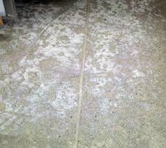 Efflorescence requires the appearance of water from somewhere in the basement. Secondary Efflorescence In Concrete Countertops Floors Part 2