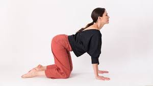 Cat Cow Yoga Pose Yoga With Adriene Youtube