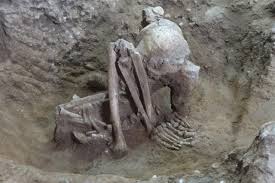 Scientists Just Solved One of the Most Enduring Mysteries of the Easter  Island Statues