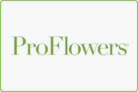 Check spelling or type a new query. 25 Off Proflowers Valentine S Day Coupons Coupon Codes August 2021