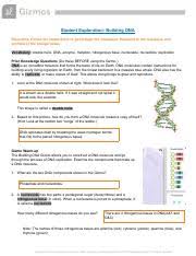 And by having access to our ebooks online or by storing it on your computer, you have convenient answers with student exploration disease spread gizmo answer key pdf. Building Dna Gizmo Lab Report Student Exploration Building Dna Vocabulary U200bdouble Helix Dna Enzyme Mutation Nitrogenous Base Nucleoside Course Hero