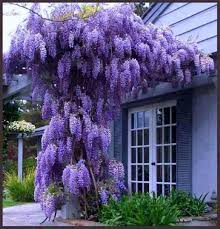 Maybe you would like to learn more about one of these? Pin On Decorations Outside The Home